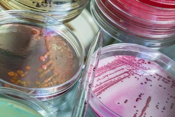  کشف آنتی‌بیوتیک جدید برای مهار یک میکروب مقاوم