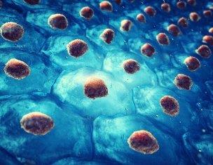 درمان بهتر بیماری‌ها با کمک سلول‌های مصنوعی