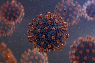 بررسی سریع کروناویروس با کمک نانوذرات