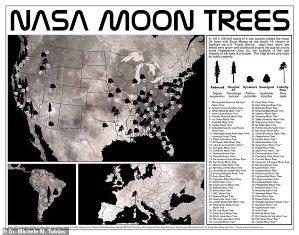 ناسا نقشه "درختان ماه" را منتشر کرد