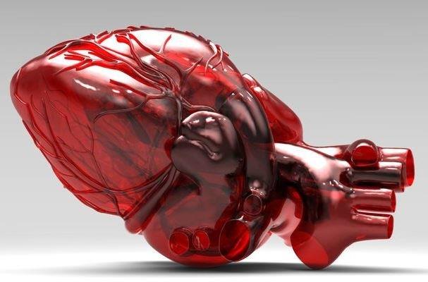 تولید داربست ویژه برای کشت سلول‌های قلبی توسط دانشمند ایرانی