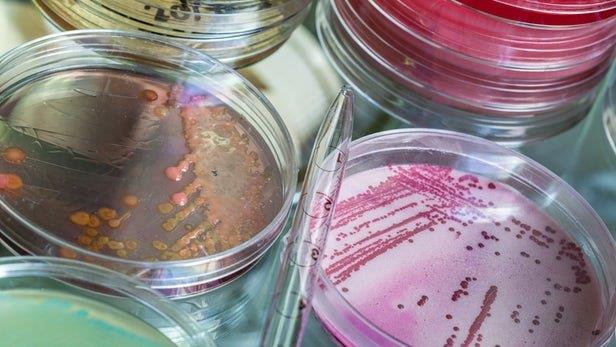  کشف آنتی‌بیوتیک جدید برای مهار یک میکروب مقاوم