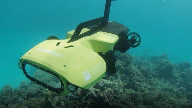  ربات زیردریایی که از صخره‌های مرجانی محافظت می‌کند