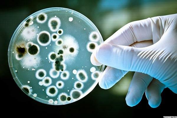 نظریات جدیدی در مورد نقش باکتری‌ها در سلامتی