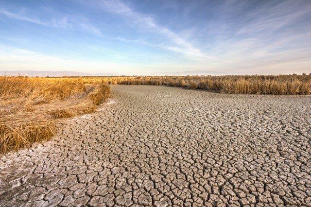 روش جدیدی برای پیش‌بینی سریع و دقیق خشکسالی 