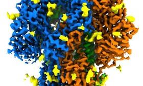 ارائه واقعی‌ترین تصویر از ساختار پروتئین خوشه‌ای کروناویروس
