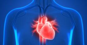 درمان غیرتهاجمی مشکلات قلبی با تزریق نوعی هیدروژل